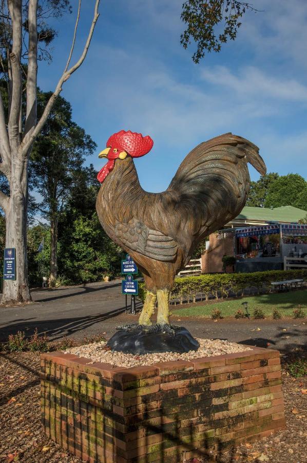 Maleny Hills Motel 外观 照片
